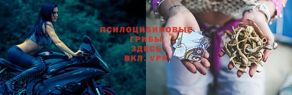 мет Белокуриха