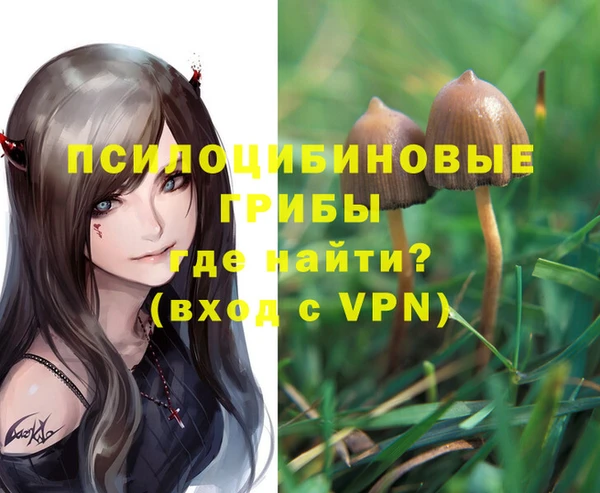 мет Белокуриха