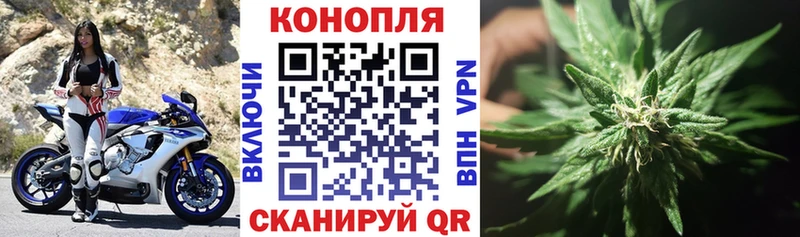 Шишки марихуана Amnesia  Кушва 